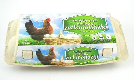 10 ŚWIEŻYCH JAJ OD KURY ZIELONONÓŻKI