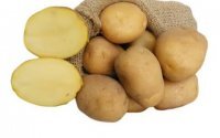 ZIEMNIAKI CATANIA 15 kg (worek)