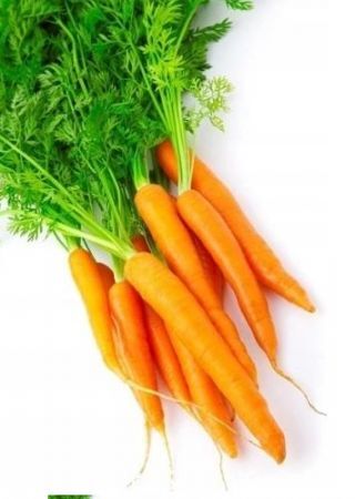 MARCHEW
