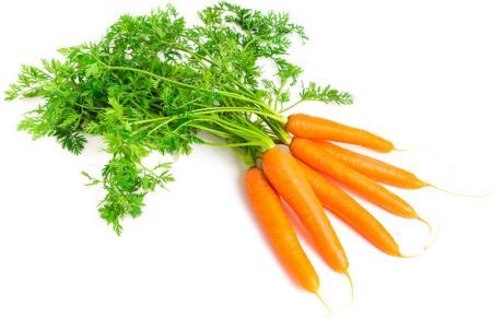 MARCHEWKA pęczek młoda