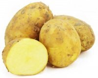 ZIEMNIAKI LORD WCZESNY (żółte) 1 kg
